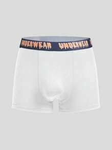 Snug Zone Men's Letter Waistband Casual Comfortable Boxer Briefs,5 Pcs - Multicolor - View 19