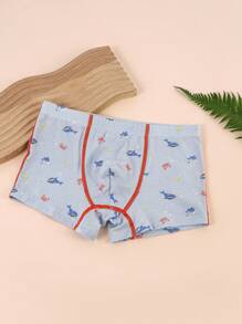 4 Pack Tween Boys' Comfortable, Breathable, Soft Cartoon Pattern Briefs - Multicolor - View 3