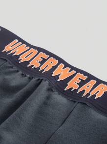 Snug Zone Men's Letter Waistband Casual Comfortable Boxer Briefs,5 Pcs - Multicolor - View 4