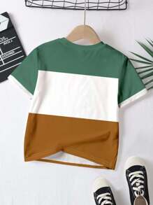 SHEIN 3pcs/Set Young Boys Classic Colorblock Fashion Graphic Print Casual Comfortable Short Sleeve T-Shirt, Suitable For Spring/Summer, Indoor, Outdoor, Sibling Set