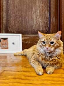 1pc Personalized Pet Paw Print Kit: Halloween, Eid Al Adha, Thanksgiving, Christmas Footprint Gift Set With Lnk Pad And Cards - Multicolor - View 3