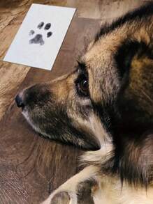 1pc Personalized Pet Paw Print Kit: Halloween, Eid Al Adha, Thanksgiving, Christmas Footprint Gift Set With Lnk Pad And Cards - Multicolor - View 4