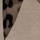 Caqui
