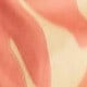Coral Orange