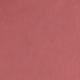 561 Desnudo intenso