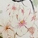 彩色