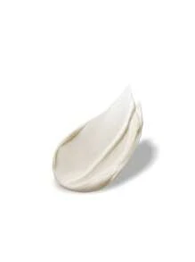 Estée Lauder Advanced Night Repair Overnight Treatment 65 ml