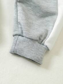 SHEIN Playful Pals 两件套小男孩休闲运动学院风三色字母印花拉链连帽衫+裤子，适合日常穿着、上学、外出、运动、春夏季节。为小男孩提供多种搭配选择，设计简约时尚，穿着舒适。这套服装将是开学季小男孩衣橱中实用又时尚的选择。