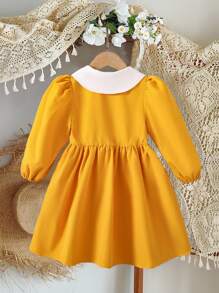 Young Girls' Spring/Summer Embroidery Ruffle Collar Puff Sleeve Design Dress, Suitable For School, Daily Wear And Vacation
