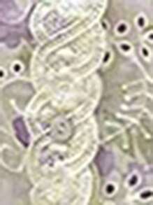 Serisse 2pcs Women Casual Front Button Sleeveless Top And Shorts Set, Summer