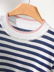 CosyJoli Plus Size Casual Round Neck Color Block Striped Short Sleeve Knit Top