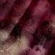متعدد الألوان