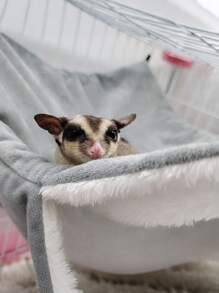 Guinea Pigs Beds 3-Layer Suspending Bed Plush Hamster Hammock Pillow For Winter Comfort Washable Chinchilla Accessory