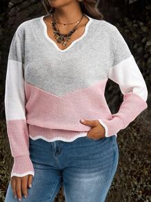 EMERY ROSE Große Größen V-Ausschnitt Muschel Besatz Farbblock Lässiger Langarm Pullover Für Frauen V-Ausschnitt Pullover Farbblock Pullover Herbst, Winter, Rückkehr zur Schule, Lehrerin, Ausgehen Oberteile - Verschiedenfarbig - Übersicht 5