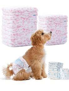 10pcs Disposable Pet Dog Diapers, Female Dog Physiological Pants, Anti-Side Leakage Diapers, Clean, Dry, Ultra-Thin, Strong Water Absorption, Suitable For Pet Dog Incontinence, Urination Training, And Preventing Stray Dogs From Mating