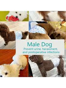 狗狗防漏尿布，超强吸水，一次性（类似尿布/护垫/卫生巾/生理裤），母狗10片/包，公狗12片/包，公狗母狗便后清洁必备用品 - 白色 - 查看 3