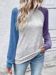 SHEIN LUNE 女式休闲日常撞色拼接插肩袖套头衫秋季 - 彩色 - 查看 6