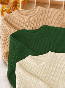 SHEIN Leap Crew 3 件套男婴休闲宽松圆领长袖毛衣，适合秋冬季