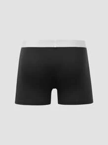 10pcs Men's Letter Print Contrast Trim Briefs Underwear Set  Multipack Trunk