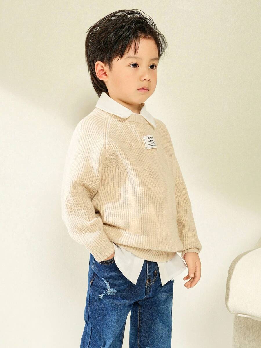 1 件年轻男孩休闲学院风舒适时尚简约实用柔软套头衫,适合日常穿着、上学、郊游、运动、秋冬季 - 米色 - 查看 1