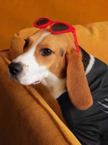 GARFIELD | SHEIN 1 chiếc áo nỉ trùm đầu in hình chú chó, quần áo cho mèo, quần áo cho chó, kích cỡ XXS-XXXXL, cực nhỏ, cực lớn - màu đen - Xem 10