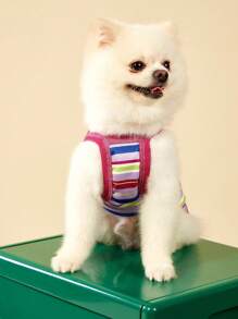 PETSIN 1 件复古时尚条纹刺绣弹力舒适休闲宠物狗背带背心，适合狗和猫 - 彩色 - 查看 5