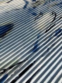 Auvina Plus Size Women's Random Floral Print Bell Sleeve Blouse, Spring Autumn Women Shirt,Long Sleeve Tops