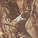 軍綠色