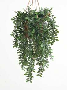 SHEIN 1PC/3PCS/5PCS Fake Plants-Leaf Hanging, Artificial Flowers, Home, Dining Room, Living Room, Outdoor Garden Decoration,The Art Of Inserting Flowers, Photography Props, Autumn, Spring, Vase, Flower Wall, Flower Wreath, Bridal Bouquet, Wedding Decoration, DIY Flower Wreath Materials, Birthday Party Decoration Materials, Home Decoration Accessories, Valentine's Day, New Year Gifts