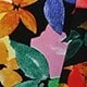Multicolor