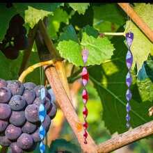 10 Stücke bunte reflektierende Vogelabwehr Stangen, Vogelabwehrvorrichtung, Spechtverscheucher, für Garten, Fenster, Obstgarten und Heimdekoration