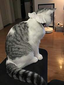1 件天使之翼，可爱猫项圈，宠物项圈，可调节，柔软，颈部配饰，适合猫和中小型犬 - 彩色 - 查看 7