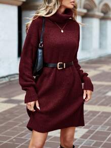 EURMUSE Women's Solid Color Turtleneck Knit Sweater Dress, Casual Autumn/Winter,Petite - Burgundy - View 4