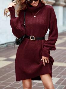 EURMUSE Women's Solid Color Turtleneck Knit Sweater Dress, Casual Autumn/Winter,Petite - Burgundy - View 5
