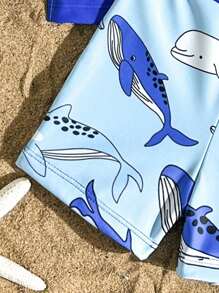 新款时尚幼儿男童字母海豚图案前片拼接两件套泳衣套装