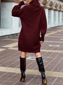 EURMUSE Women's Solid Color Turtleneck Knit Sweater Dress, Casual Autumn/Winter,Petite - Burgundy - View 2