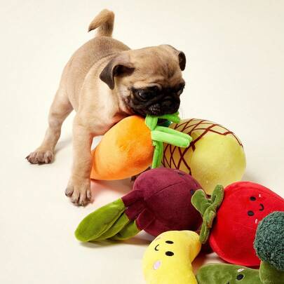 PETSIN Đồ chơi nhồi bông hình rau củ quả dễ thương cho chó, tích hợp âm thanh sủa BB, trò chơi tương tác cắn chó