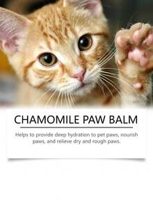 3pcs Dog And Cat Paw Balm Gentle Moisturizing Softening Paw Care Balm For Pets - Green - View 4