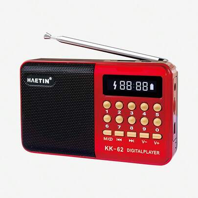 Teckwe 复古简约多功能收音机