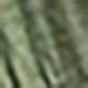 أخضر عسكري