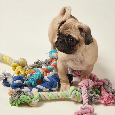 PETSIN Cotton Rope Knot Bone Dog Toy, Stress Relieving Companion, Dog Interactive Game