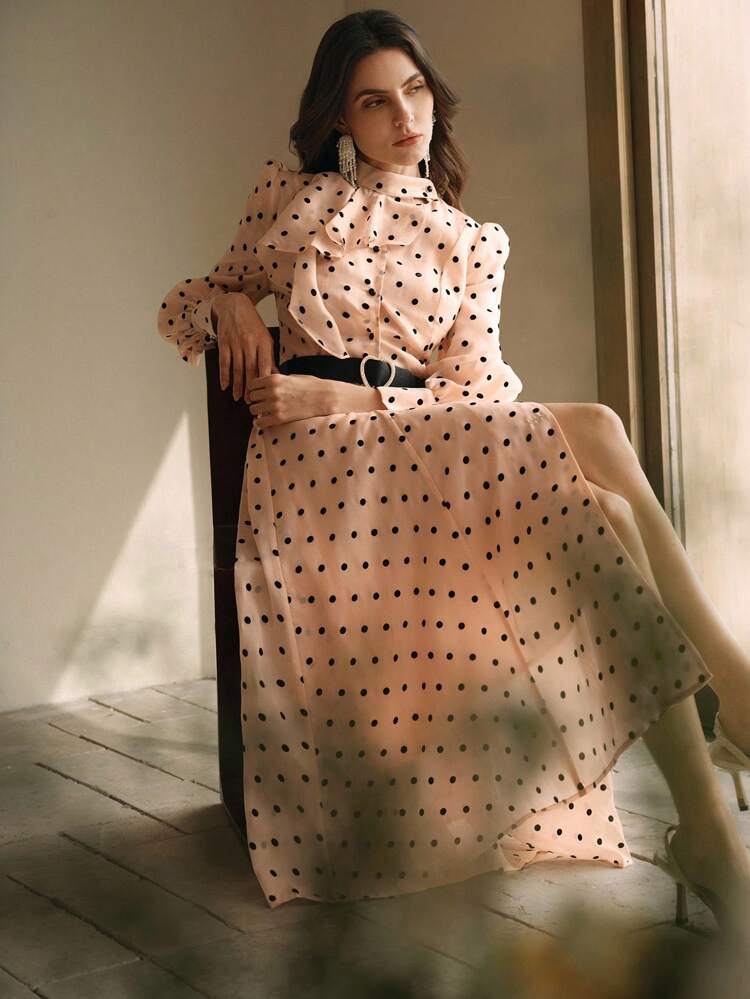 Elegant Long Sleeve Polka Dot Mock Neck A-Line Dress With Cinched Waist Maxi Organza Women Outfit