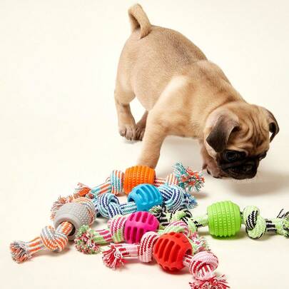 PETSIN TPR棉绳双球狗狗玩具，缓解无聊，与狗狗互动玩耍