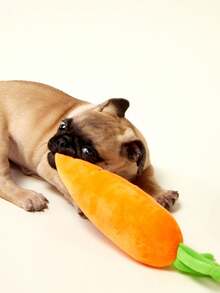 PETSIN Cute Vegetable And Fruit Series Plush Dog Toy, Built-In BB Barking Sound, Dog Biting Interactive Play