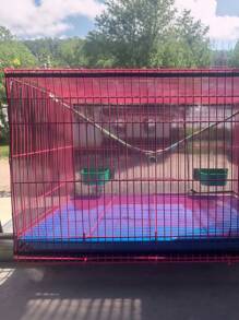 Bird Cage Cover Mesh Sheer Guard For The Prevention Of Dust For Parrot And Bonsai Plant Available In Large, Medium, And Small Sizes - Black - View 3