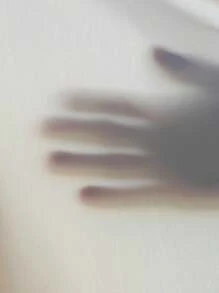 Rafferiza 2 件套：蕾丝刺绣连衣裙，带束腰和长袖连衣裙，优雅女士