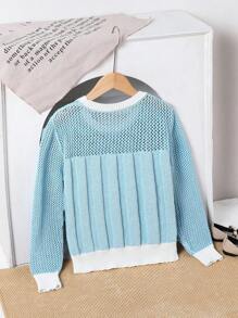 Minimalist Crew Neck Loose Cable Knit Long Sleeve Sweater For Everyday Wear, Autumn/Winter Pastel Sweater Blue And White Sweater - Blue - View 2