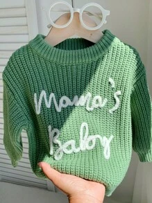 SHEIN 男婴柔软舒适休闲百搭可爱字母图案绿色圆领长袖套头衫，适合室内、户外、休闲、运动、玩耍、派对、拍照、度假、四季针织套头衫，秋冬季 - 綠色 - 查看 9