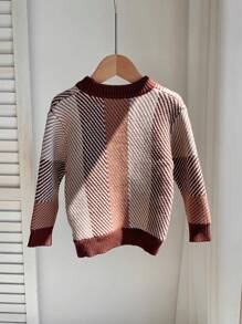 SHEIN Suéter de Tricô de Manga Longa com Gola Careca, Estampa Colorida em Contraste, Macio e Confortável, Adequado para Uso Casual Diário, Interno, Externo, Esportes, Festa, Ensaio Fotográfico, Volta às Aulas, Streetwear, Halloween, Primavera/Verão/Outono/Inverno - Castanho - Visão 2