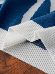 SHEIN Young BoyFashion 可爱柔软简约撞色图案针织长袖套头衫，适合居家、日常、上学、户外、派对穿着，秋冬 - 藍白色 - 查看 7